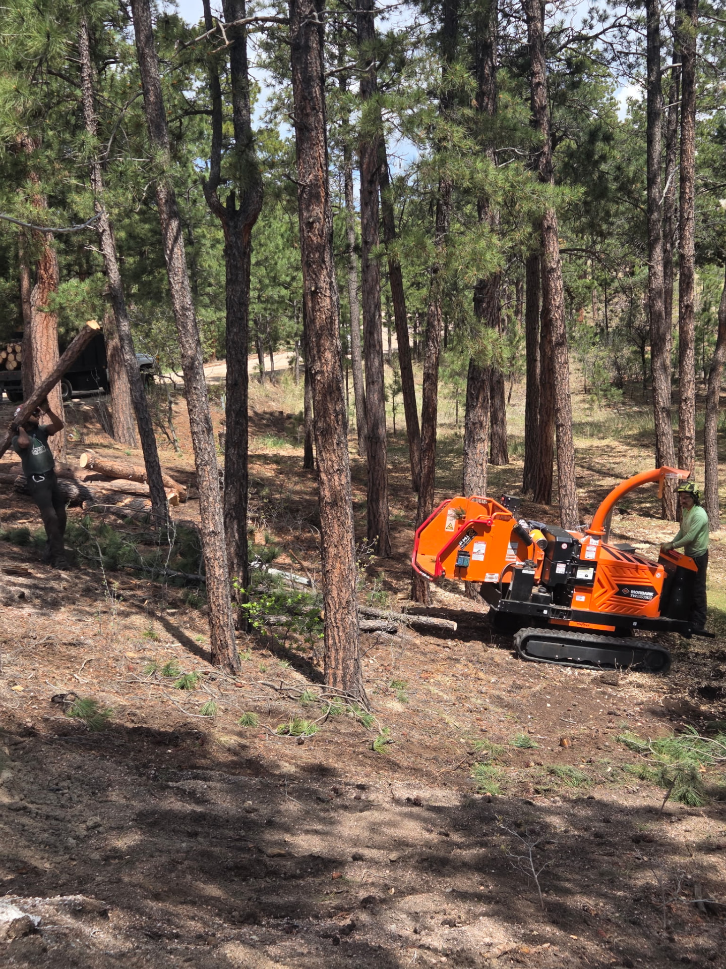 Fire Mitigation in Colorado Springs by Garrett Tree Service